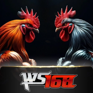 ws168 -  Zenplay77